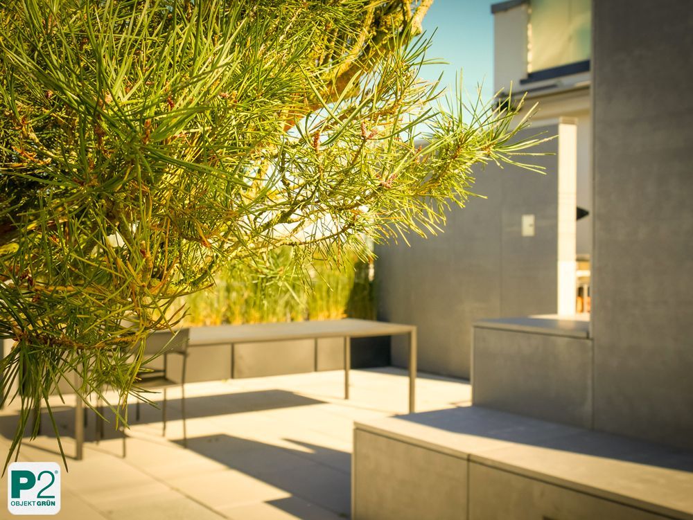 Blick auf eine moderne Gartenlandschaft mit einem Baum.