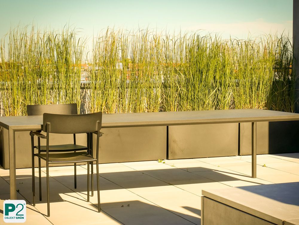 Moderne Gartenmöbel auf einer Terrasse mit hohen Gräsern im Hintergrund.