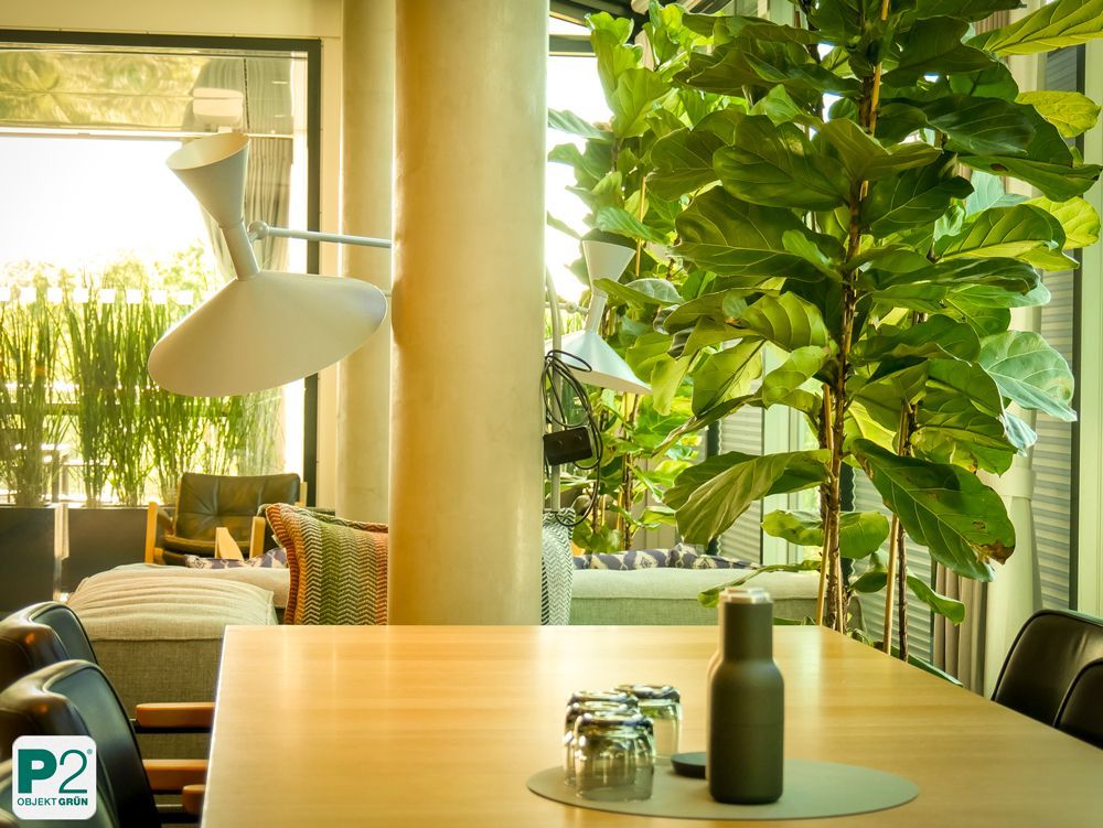 Modernes Wohnzimmer mit Pflanzen und stilvoller Beleuchtung