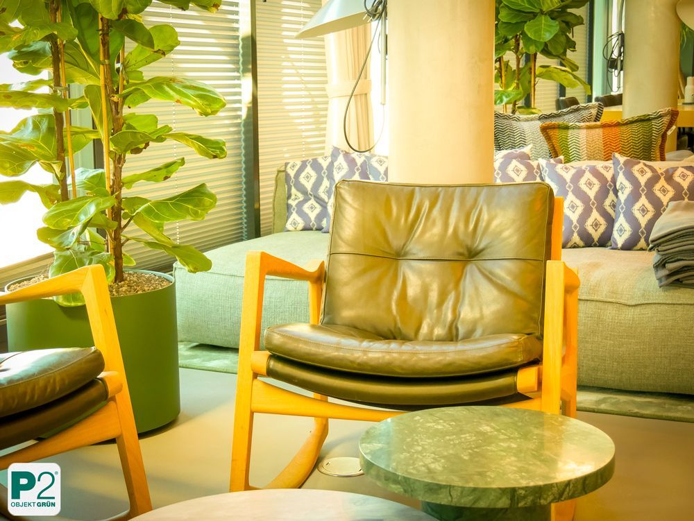 Modernes Wohnzimmer mit Pflanzen und stilvoller Beleuchtung