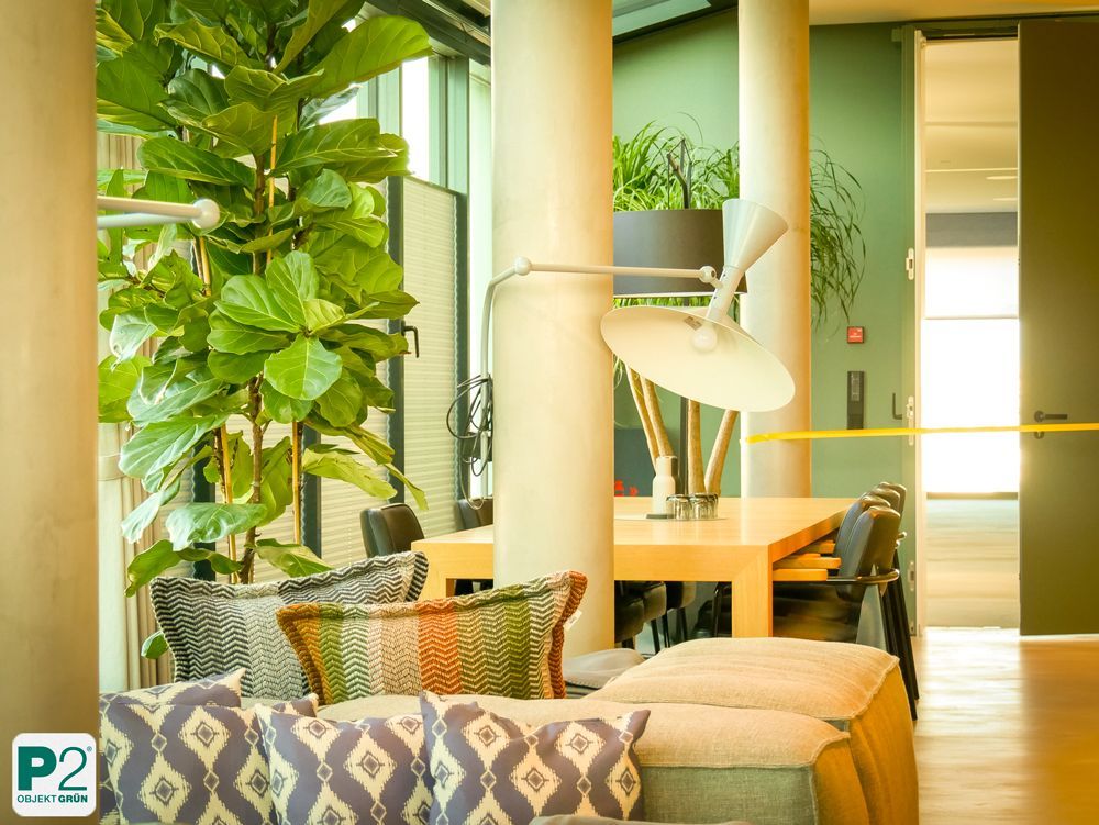 Modernes Wohnzimmer mit Pflanzen und stilvoller Beleuchtung