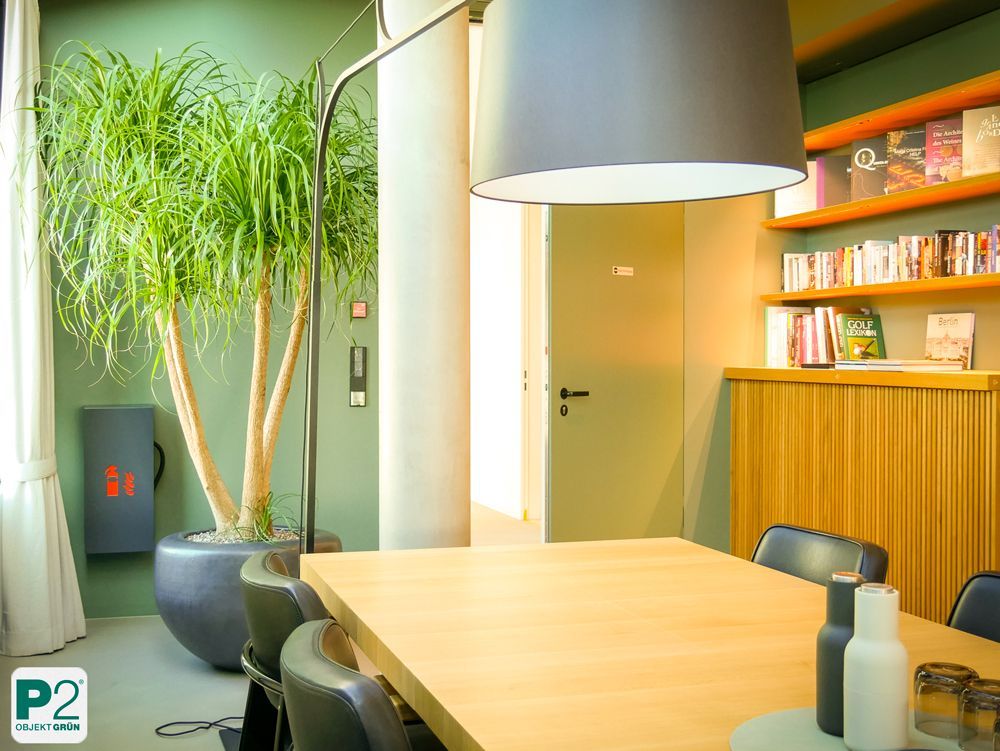 Modernes Wohnzimmer mit Pflanzen und stilvoller Beleuchtung