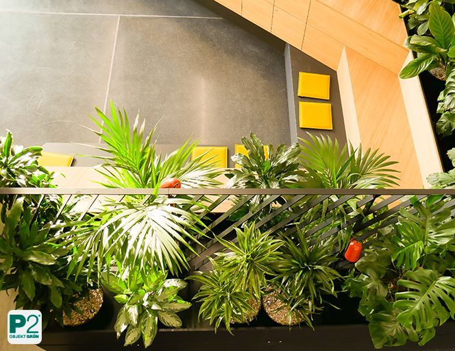 Begrünter Empfangsbereich mit verschiedenen Zimmerpflanzen und Blick auf eine Treppe.