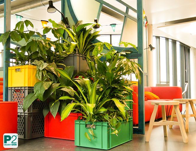 Farbige Pflanzgefäße mit dichten Grünpflanzen vor Sitznischen in hellem Arbeitsbereich.