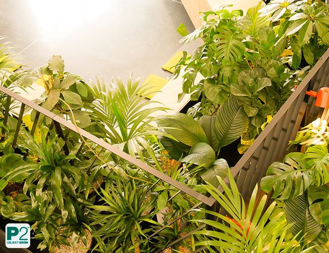 Dicht bepflanzter Empfangsbereich mit tropischen Pflanzen und natürlicher Atmosphäre.