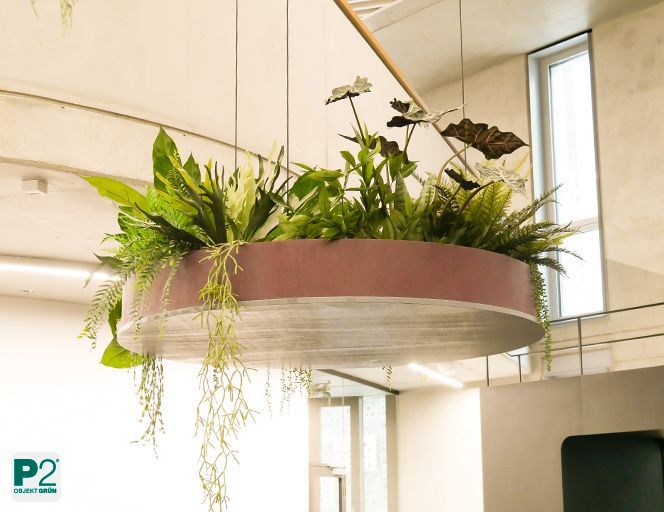 Großes hängendes Pflanzgefäß im Betonatrium mit herabhängenden grünen Pflanzen.