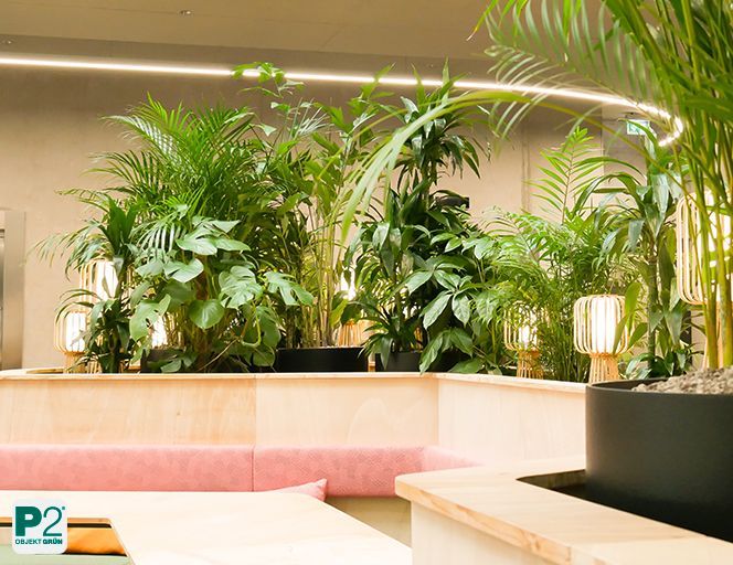 Begrünter Sitzbereich mit großen Palmen und tropischen Pflanzen im modernen Arbeitsumfeld.