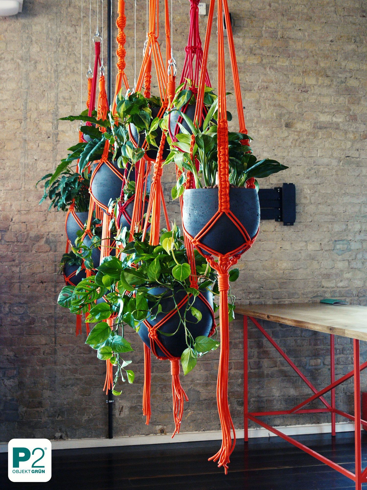 Mehrere grüne Pflanzen in dunkelgrauen Hängeampeln mit orangen Makramee-Haltern vor einer Ziegelwand