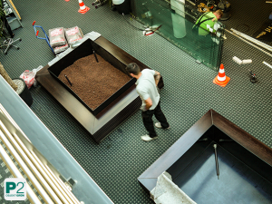 Person prüft große Pflanzgefäße mit Erde in einer Werkstatt für Raumgestaltung mit Pflanzen