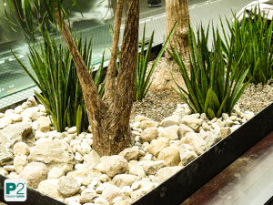 Pflanzenarrangement mit Baumstämmen und grünen Blättern in rechteckigem Gefäß mit weißen Steinen, Innenraumgestaltung.