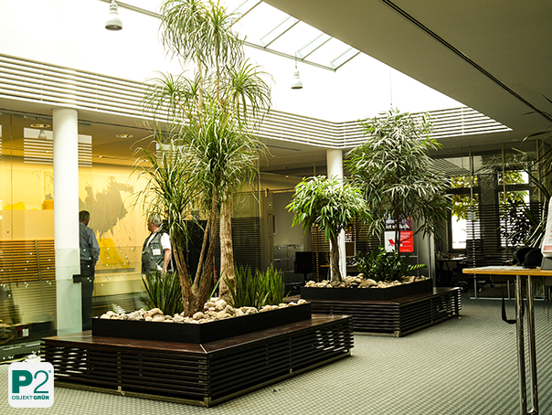 Innenraum mit großen Pflanzkübeln, hohen Palmen und grünen Pflanzen unter einem Glasdach in einem modernen Bürogebäude