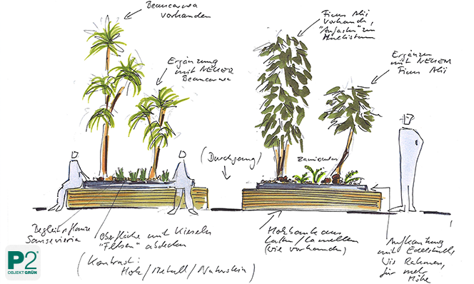 Skizze von zwei beschrifteten Pflanzgefäßen (Beaucarnea, Ficus) mit Figuren zur Veranschaulichung der Raumwirkung.