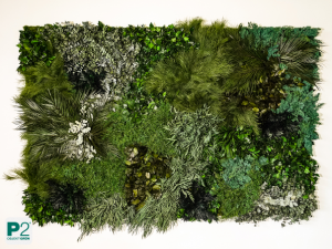 Wanddekoration aus verschiedenen grünen Pflanzen und Moosen