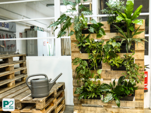 Ein Holzregal mit verschiedenen Pflanzen in einem modernen Raum.