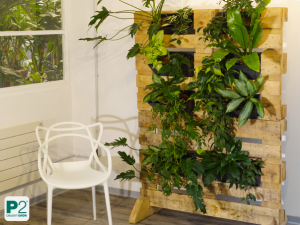 Vertikale Pflanzenwand aus Holz mit verschiedenen Pflanzen und einem weißen Stuhl.