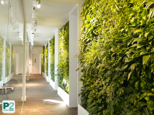 Eine grüne Wand in einem modernen Büro mit vielen Pflanzen.