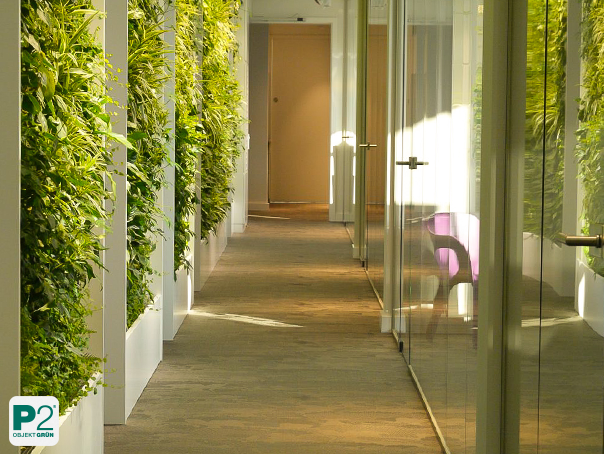 Eine grüne Wand in einem modernen Büro mit vielen Pflanzen.