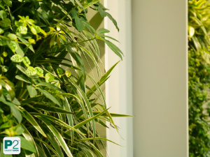 Eine grüne Wand in einem modernen Büro mit vielen Pflanzen.