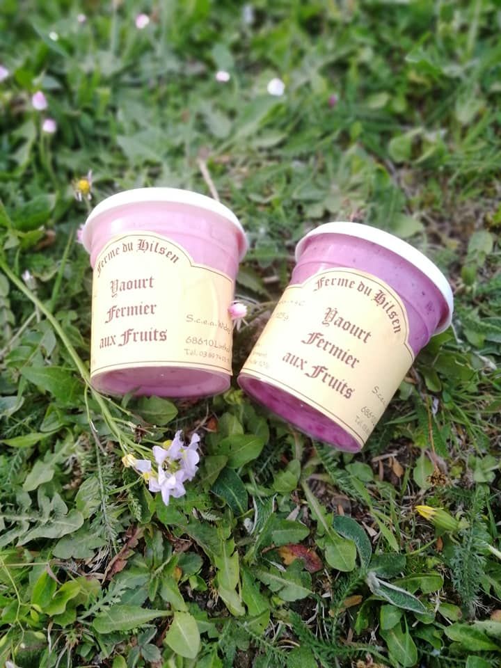 Yaourt fermier aux fruits