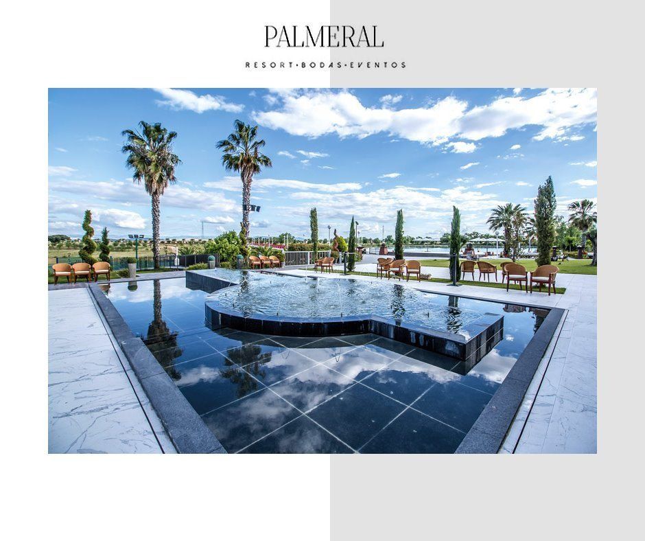 Una gran piscina con palmeras al fondo.
