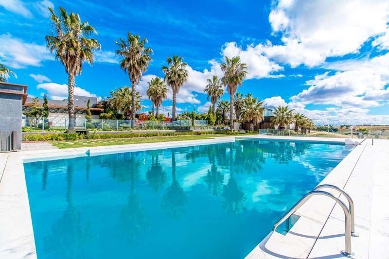 Una gran piscina rodeada de palmeras en un día soleado.