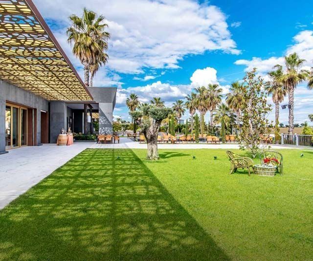Impresión artística de un gran césped frente a un edificio con palmeras.