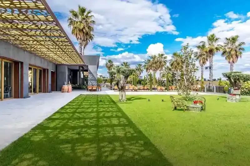 Impresión artística de un gran césped frente a un edificio con palmeras.