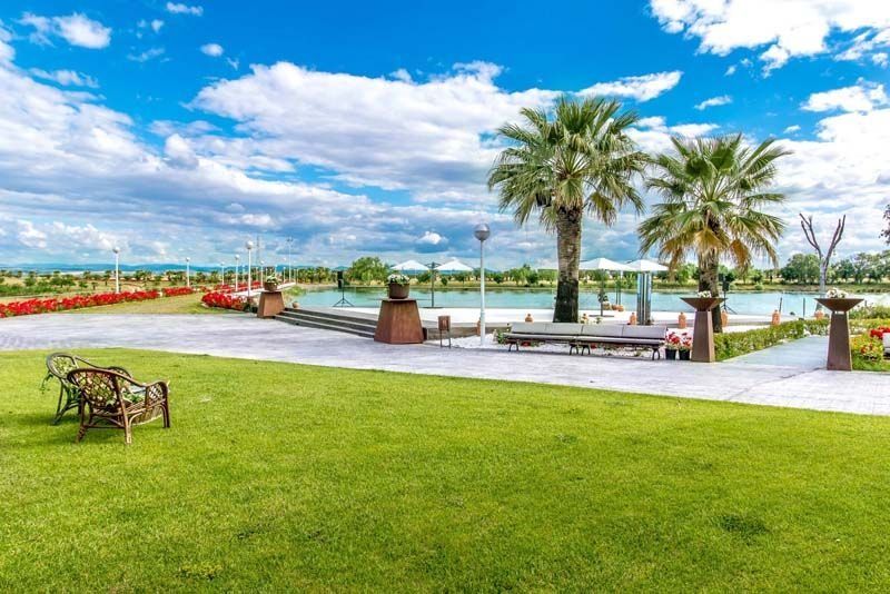 Un gran césped con palmeras y una piscina al fondo.