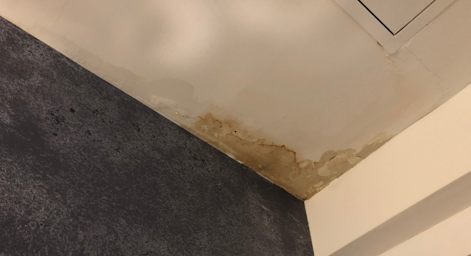 Coin de plafond endommagé par l'eau avec peinture écaillée; mur texturé gris foncé adjacent et garniture blanche.