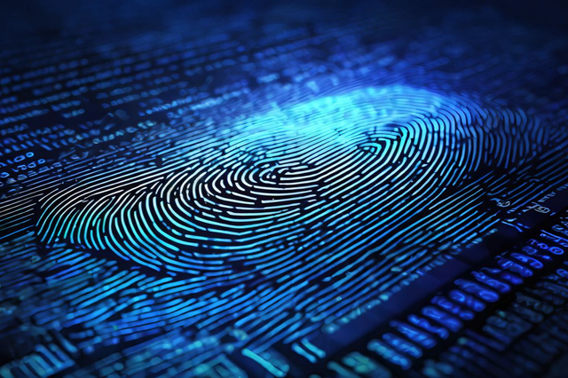 Capteur d'empreintes digitales à tons bleus sur un circuit imprimé numérique avec code, représentant la sécurité biométrique.