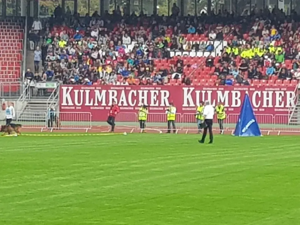 Veranstaltung Zuchtschau der Schäferhunde