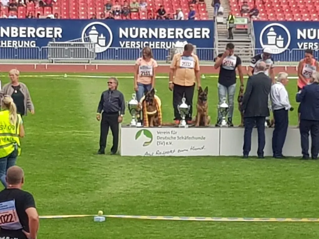 Siegerehrung des Bundessiegers bei der Veranstaltung Zuchtschau der Schäferhunde