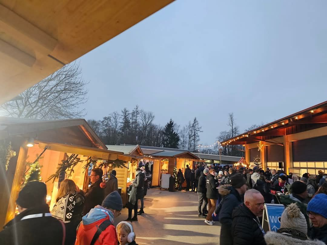 SWU Weihnachtsbaumaktion am Kraftwerk Wiblingen