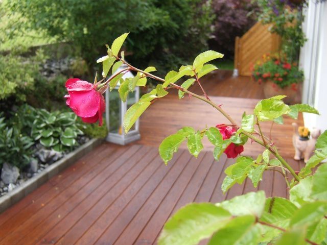 Holzböden - Perlen - Fischer Gartenbau GmbH Perlen