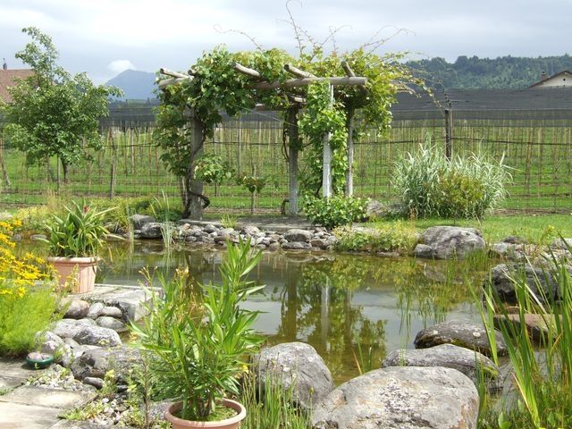 Biotope - Perlen - Fischer Gartenbau GmbH Perlen