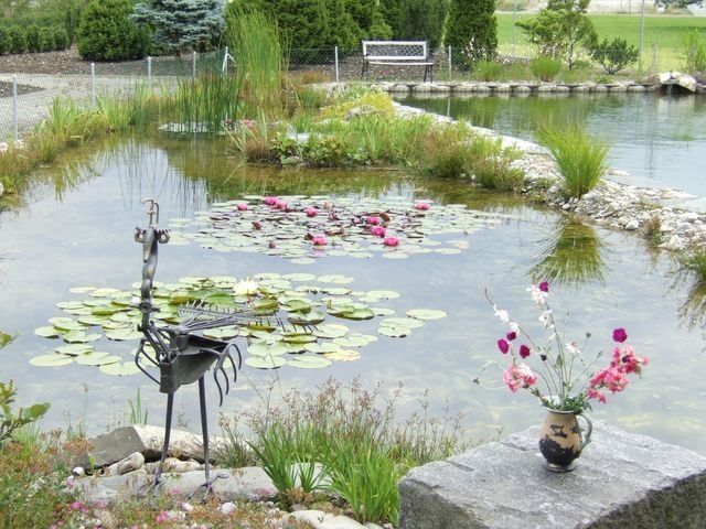 Biotope - Perlen - Fischer Gartenbau GmbH Perlen