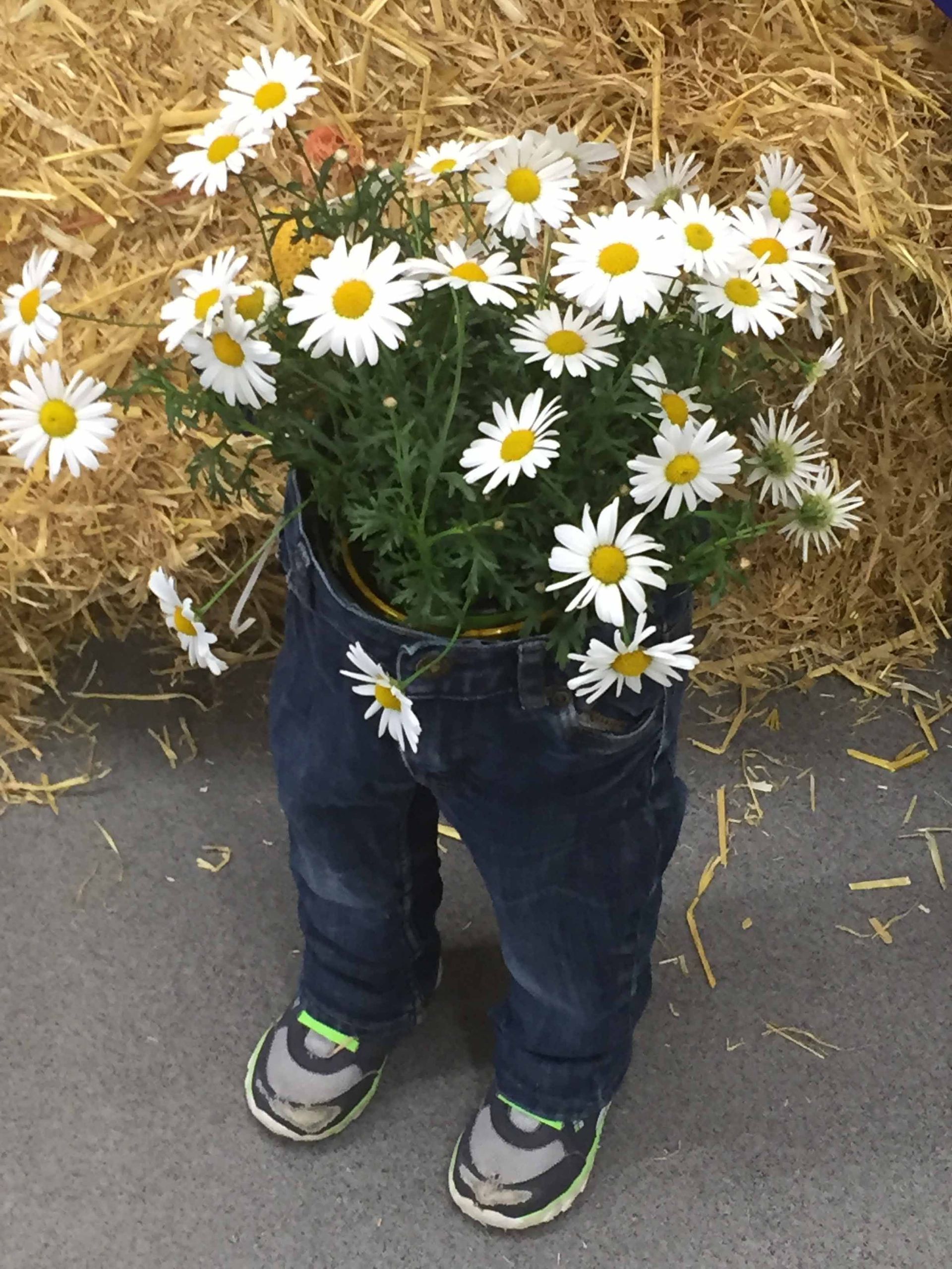 Fischer Gartenbau GmbH Perlen