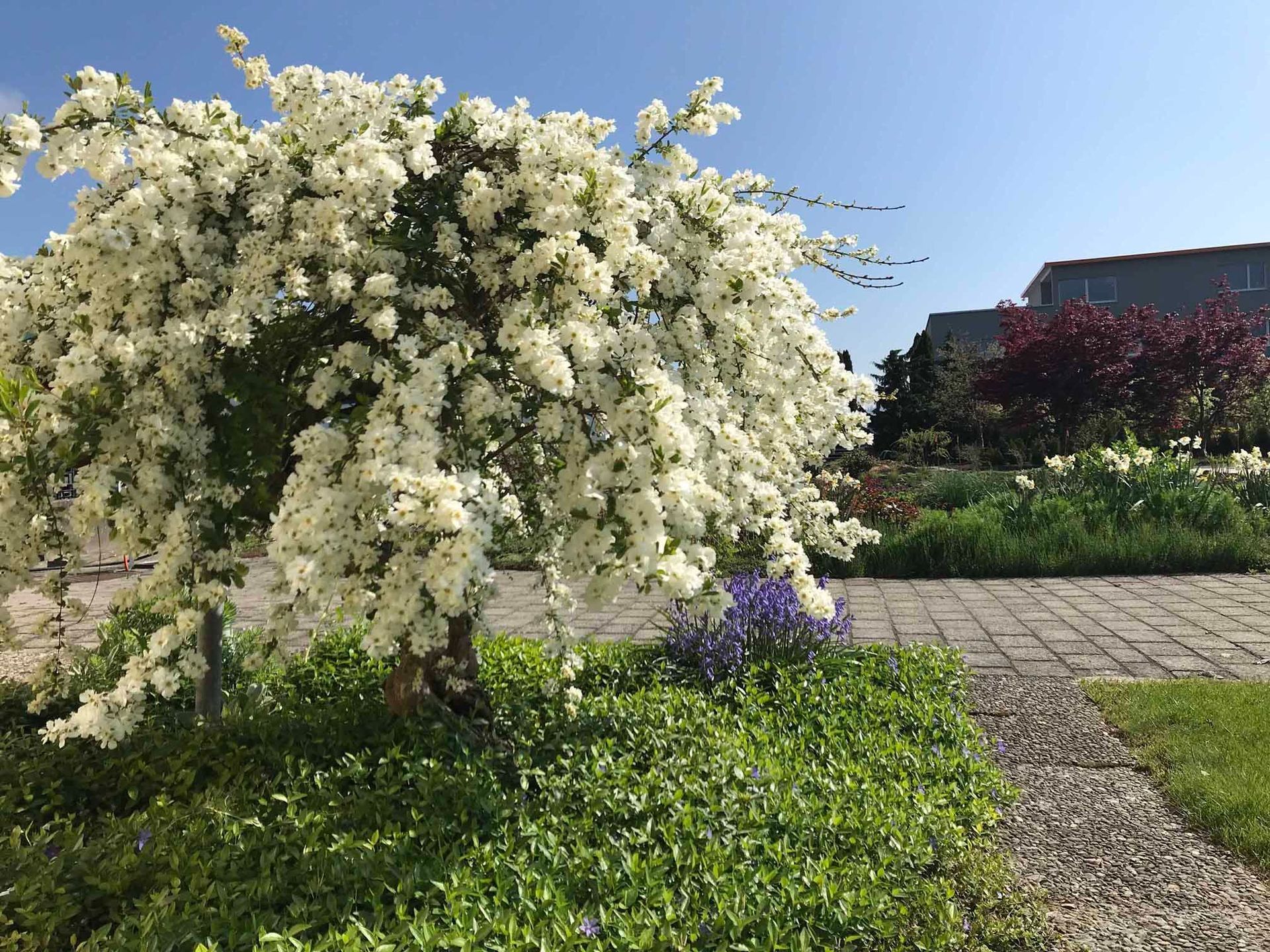 Fischer Gartenbau GmbH Perlen