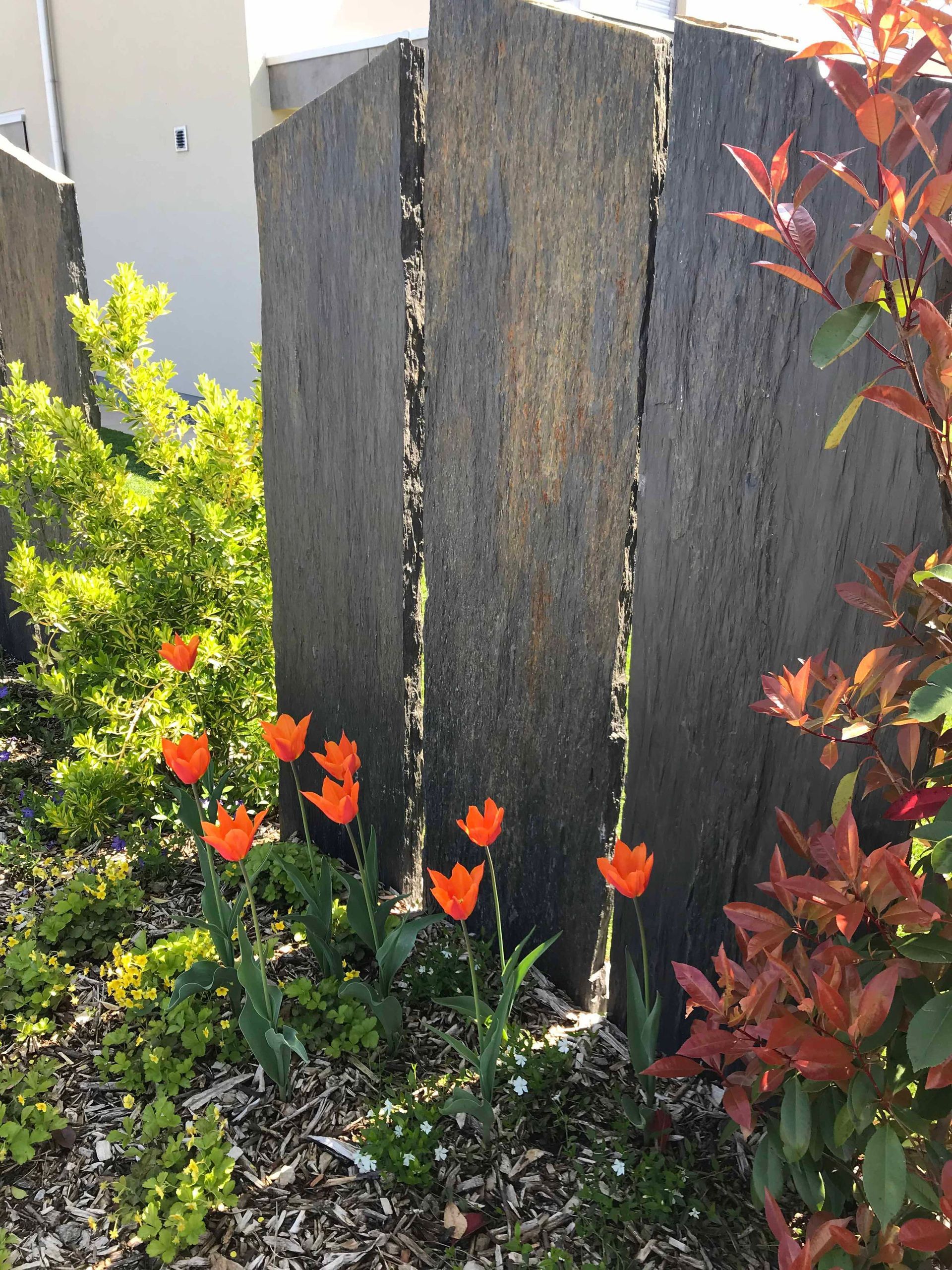 Fischer Gartenbau GmbH Perlen