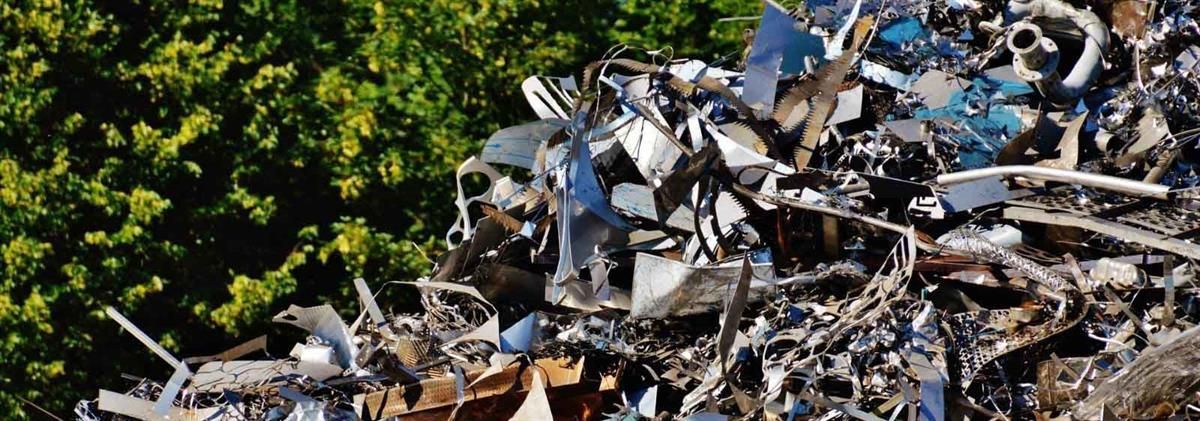 Mitten in einem Wald liegt ein Haufen Schrott.