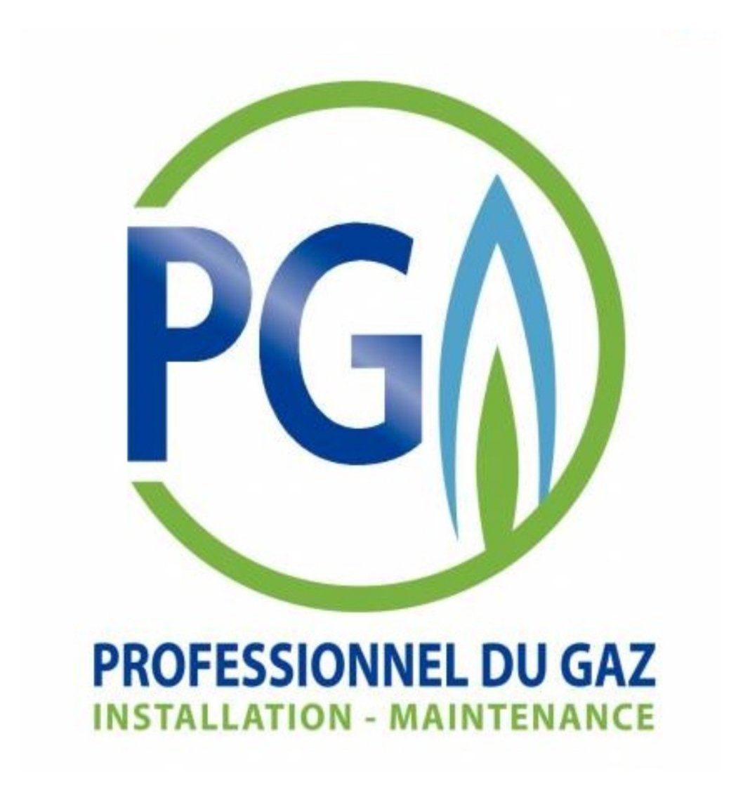 Logo Professionnel du Gaz