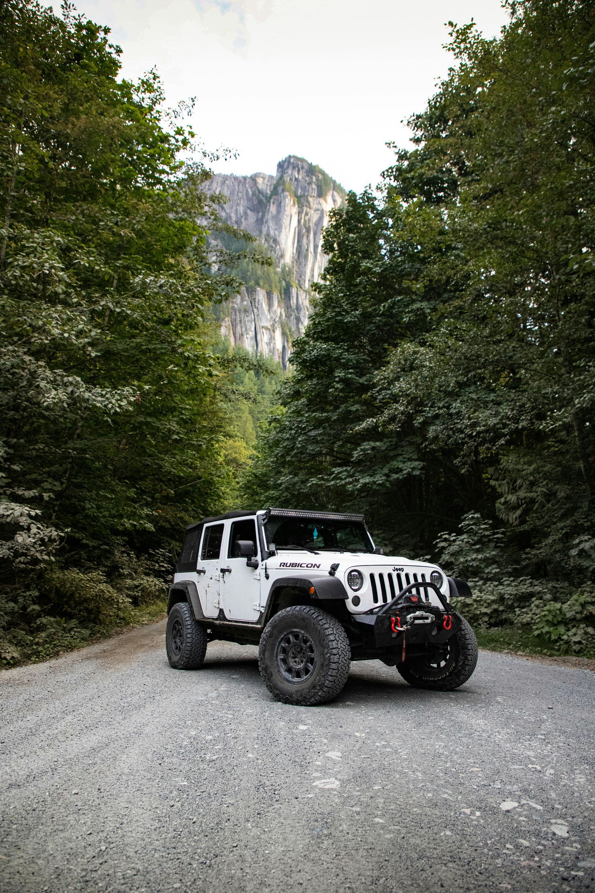 Un jeep blanco está estacionado en un camino de tierra en el bosque.