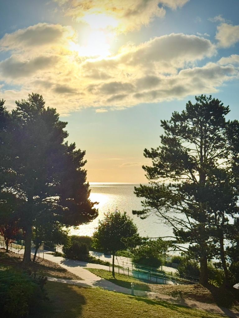 Morgensonne zwischen Kiefern über der Parkanlage am Ostseestrand Sierksdorf