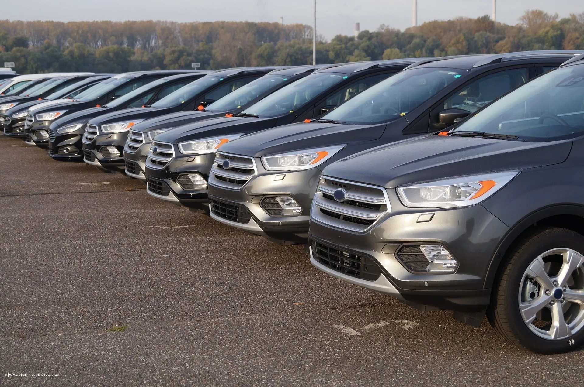 Eine Reihe dunkelgrauer Ford Escape SUVs parkte in einer Reihe auf einem gepflasterten Parkplatz.