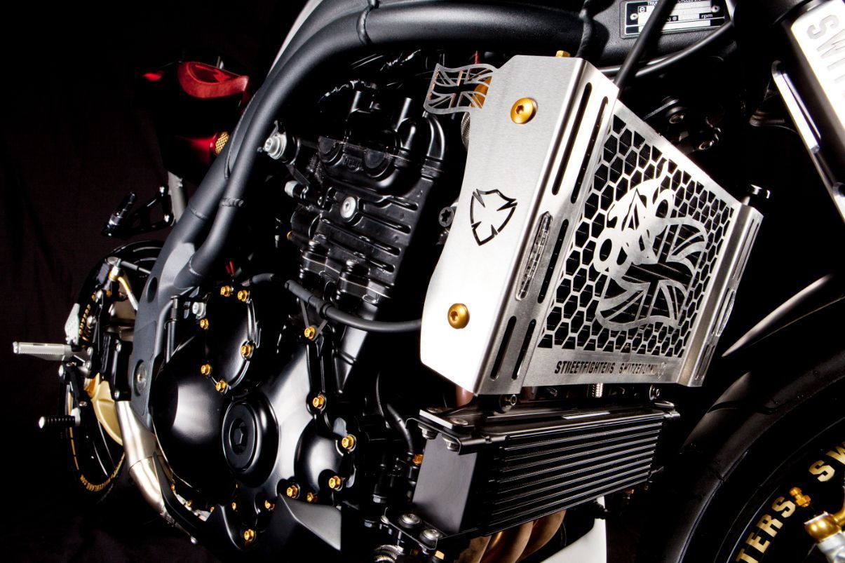 Triumph - Streetfighters Switzerland GmbH - Interlaken