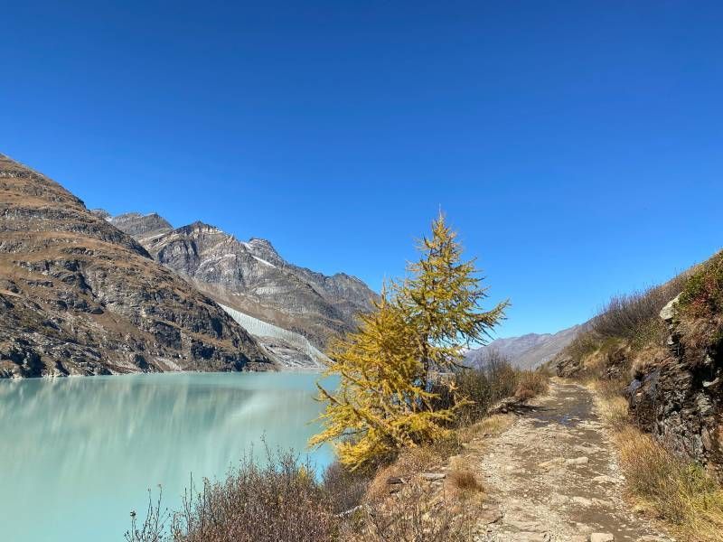 Ausblick vom Restaurant Mattmark