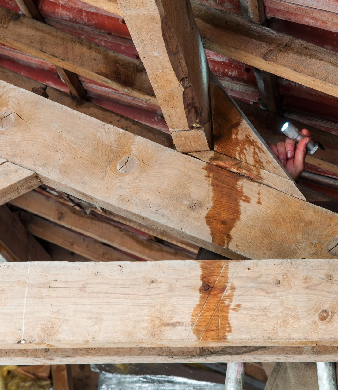 Une poutre de toit fuit dans les combles. Une tache d'humidité est visible sur le bois ; une main, munie d'une lampe torche, examine les dégâts.