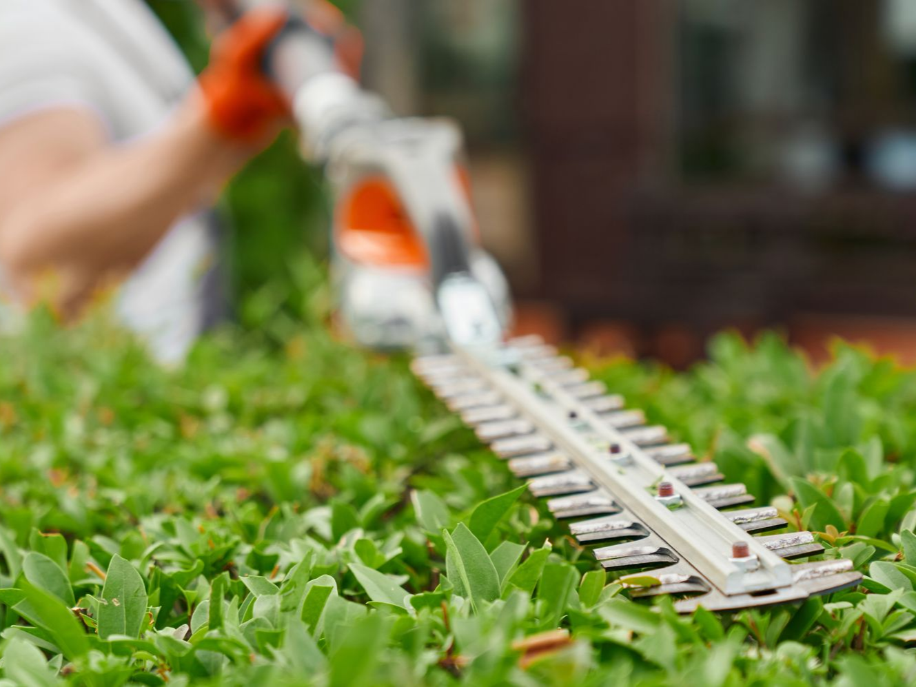 Une personne portant des gants orange utilise un taille-haie électrique pour tailler.
