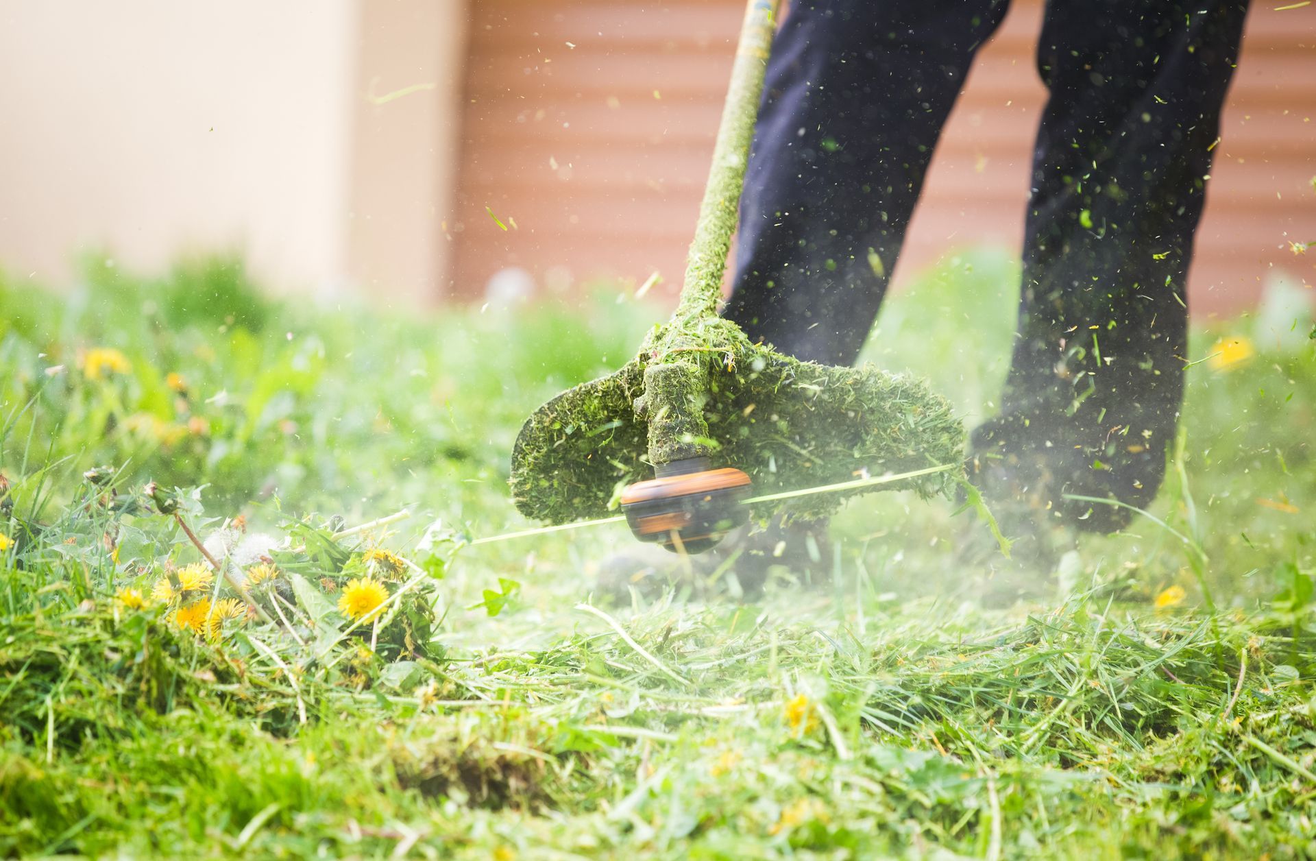 Débroussailleuse qui coupe l'herbe