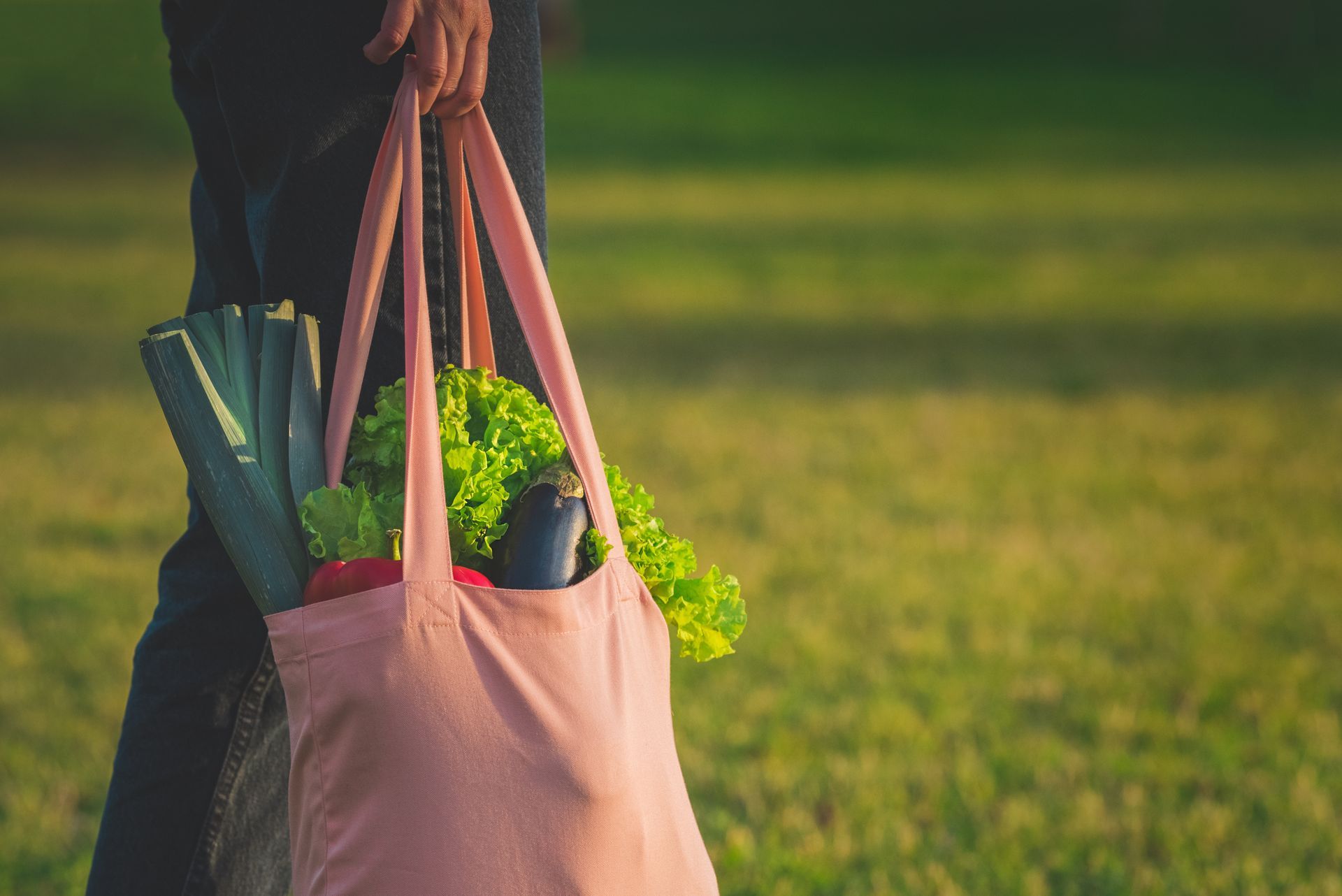 Sac de courses dans les mains d'une personne